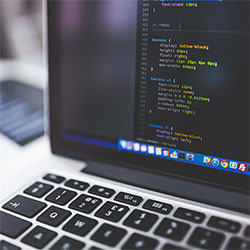 读柚子影视一句检视：从截图核对到边界句的艺术与技巧