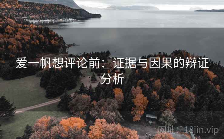 爱一帆想评论前：证据与因果的辩证分析  第2张