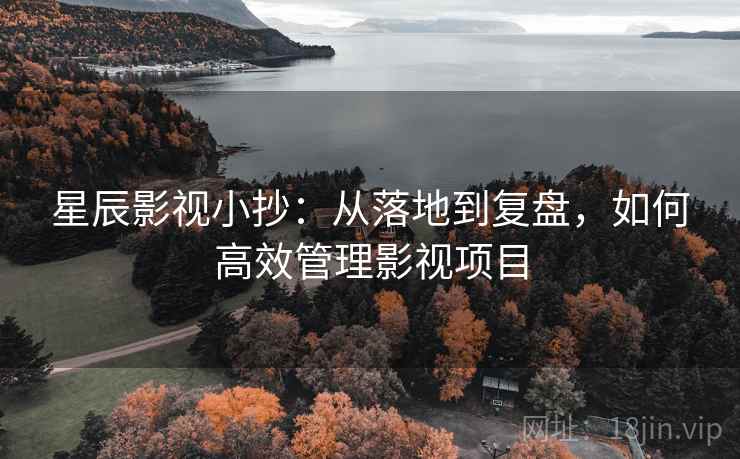 星辰影视小抄:从落地到复盘,如何高效管理影视项目